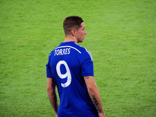 fernando torres